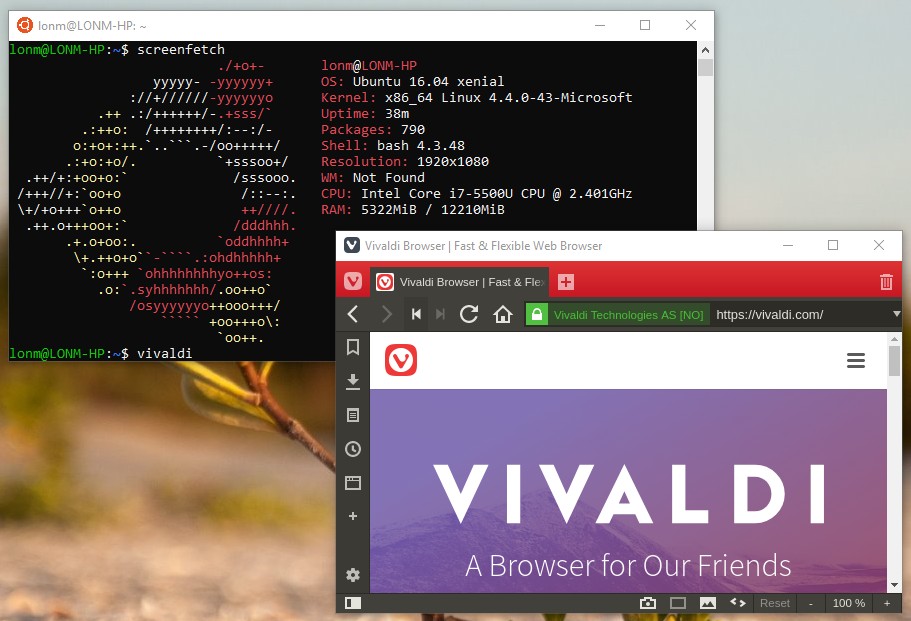 Vivaldi running on WSL