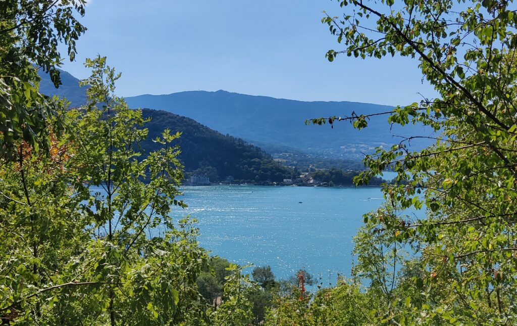 A turquoise alpine lake seen through a window of green tree branches