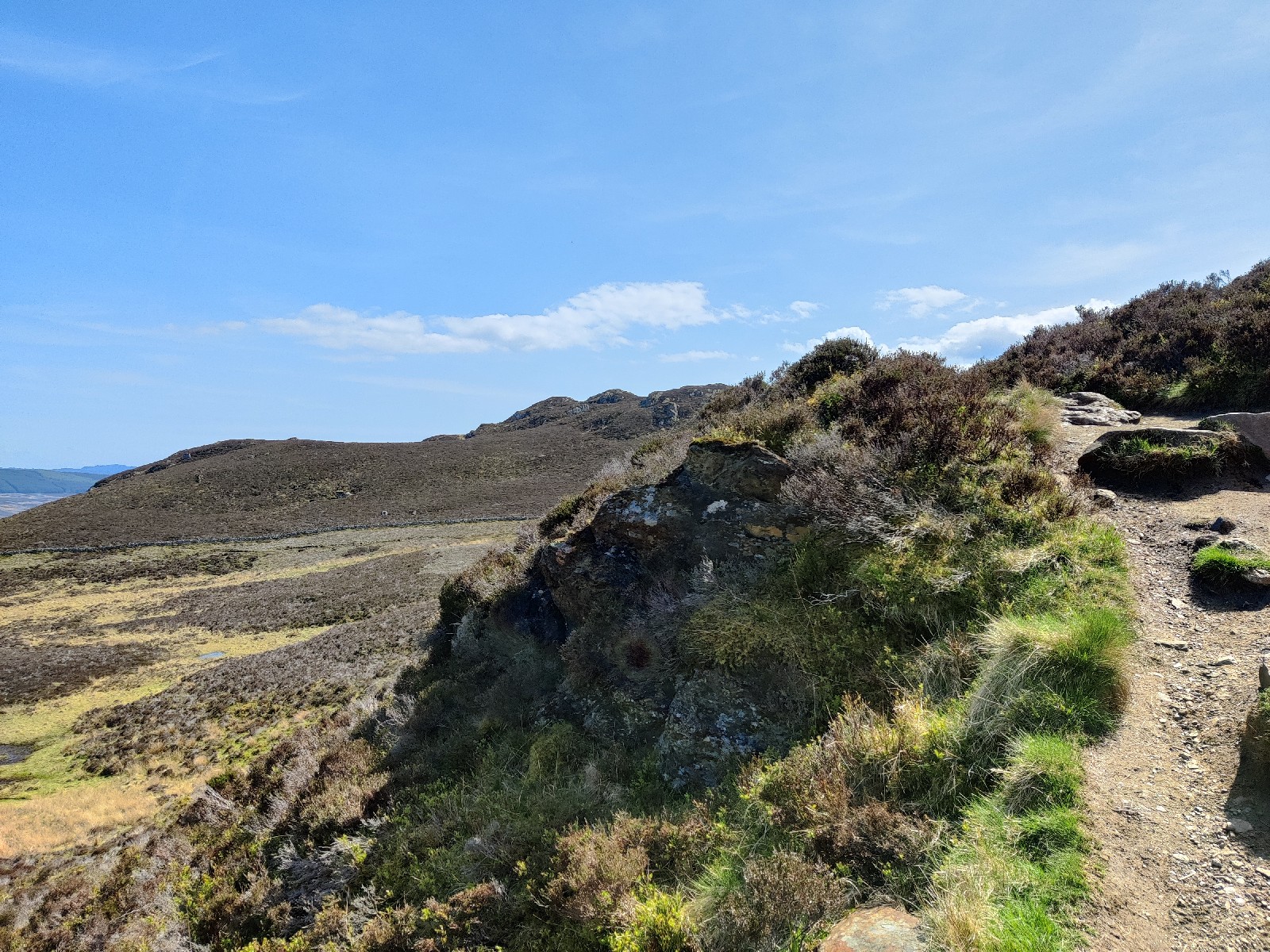 A dirt path winds around a rocky outcrop up on the heath