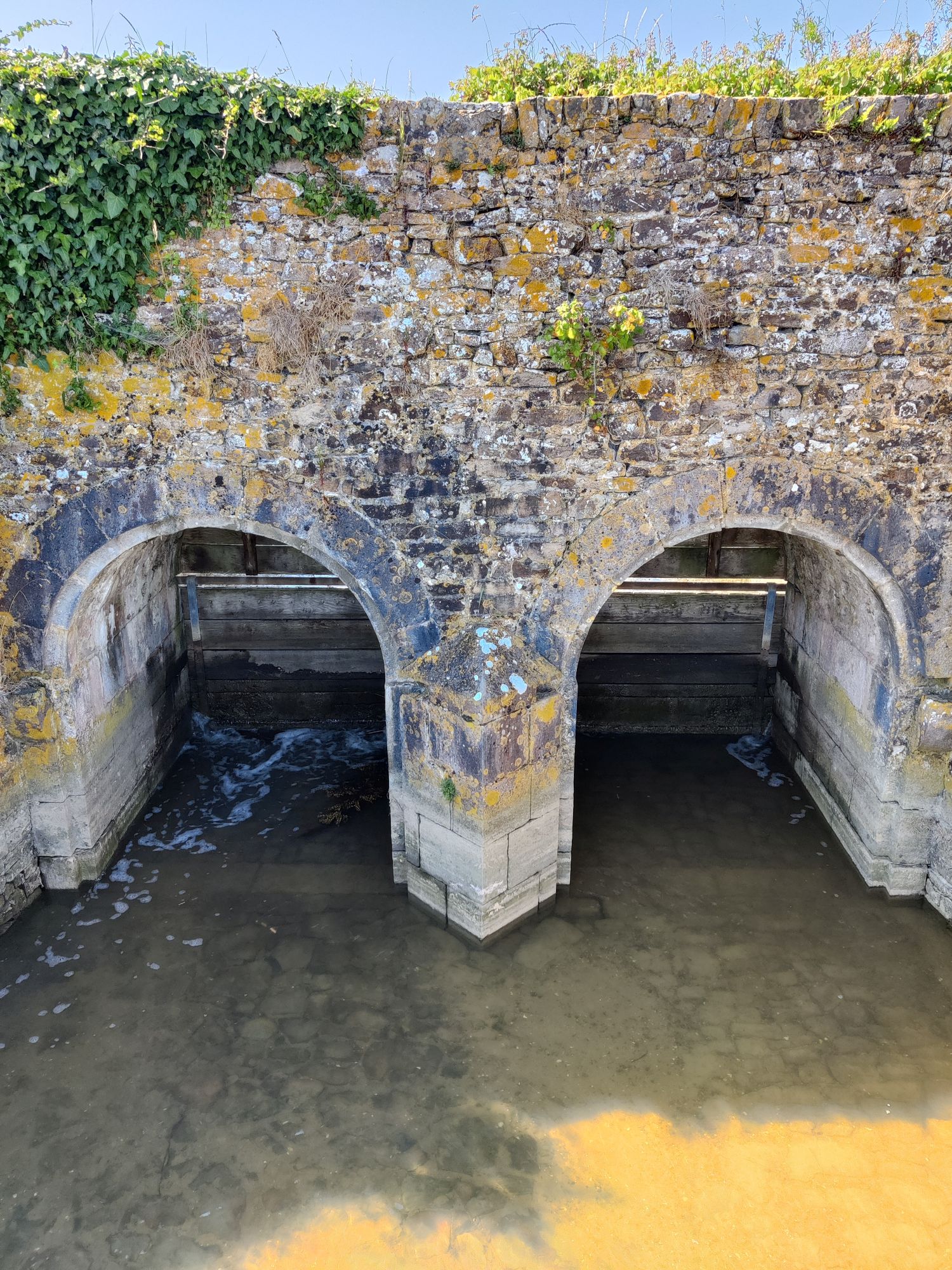 An arched stone floodgate holding back a paltry amount of saltwater in a marsh